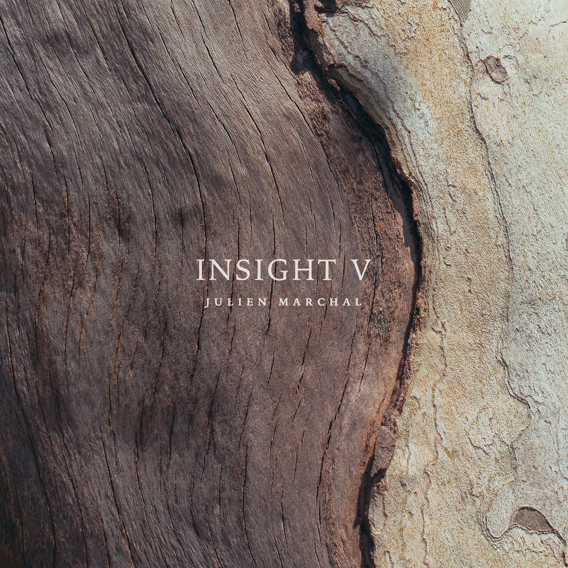 Album cover of Insight XLIX