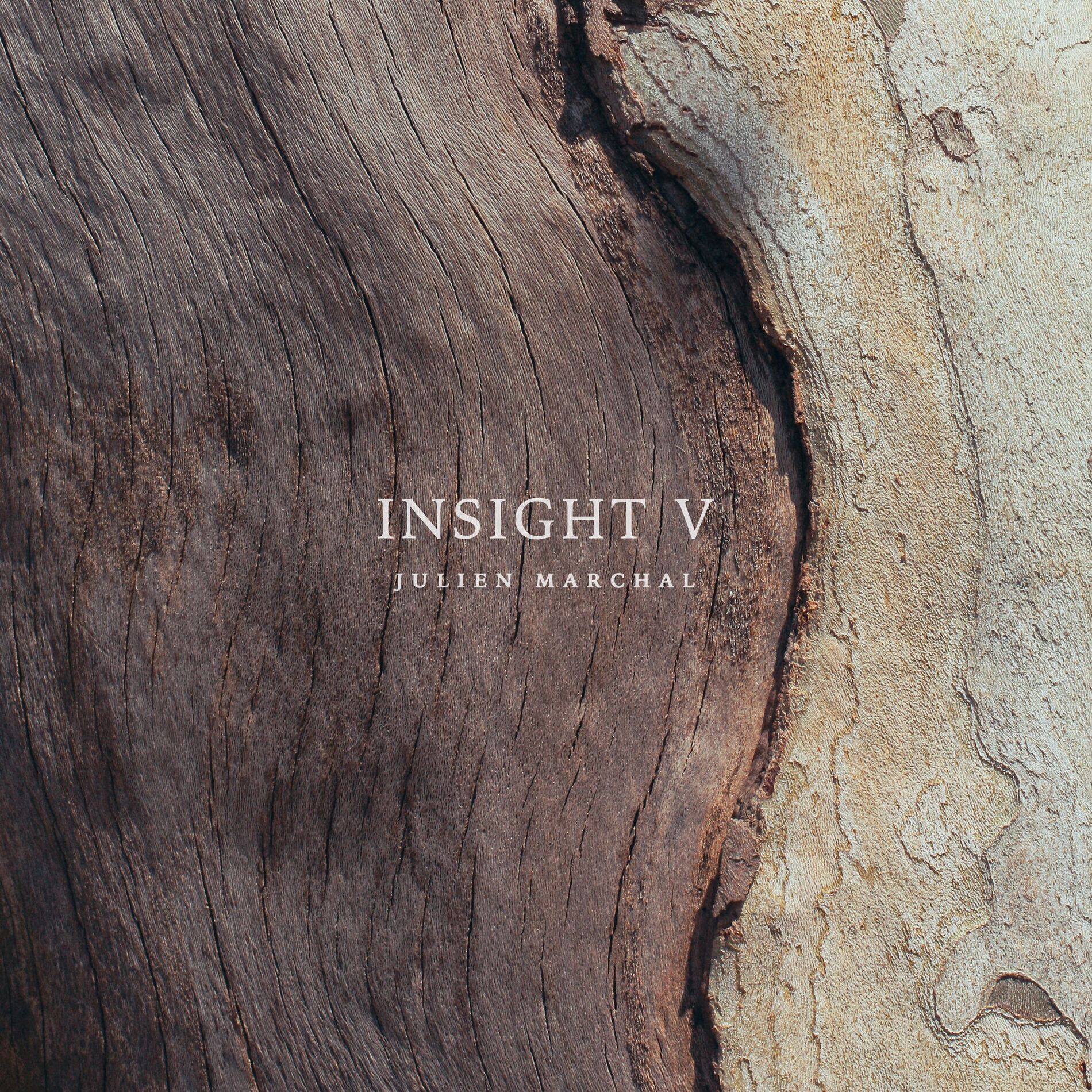 Album cover of INSIGHT V