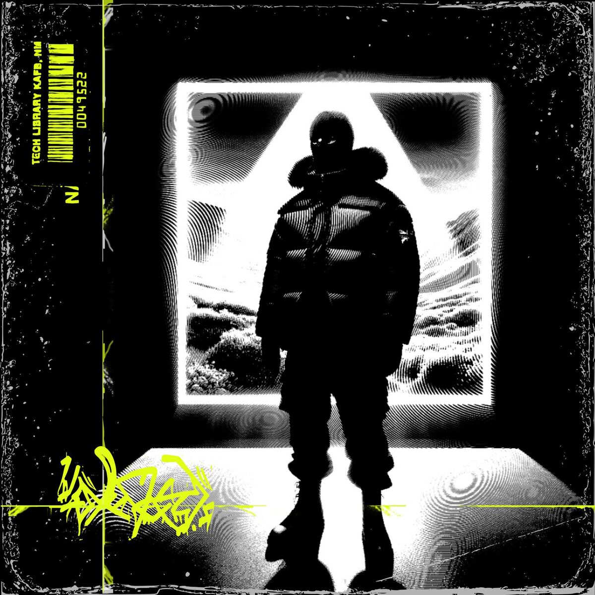 Album cover of DNGR ZONE