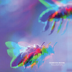 Cover of Pollination / Leave Me Alone