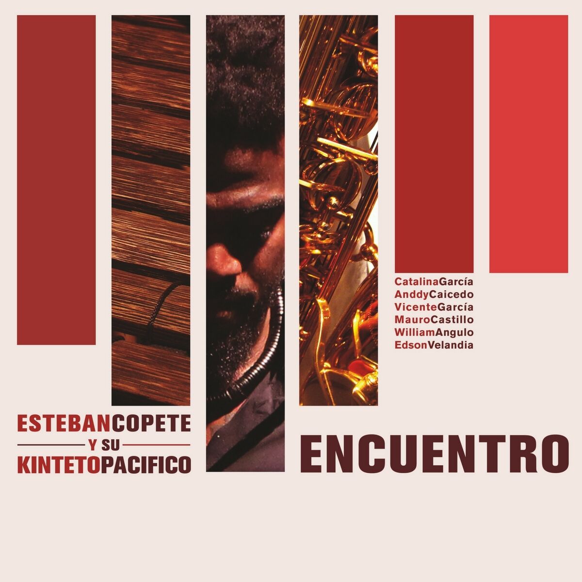 Album cover of Mi Sueño