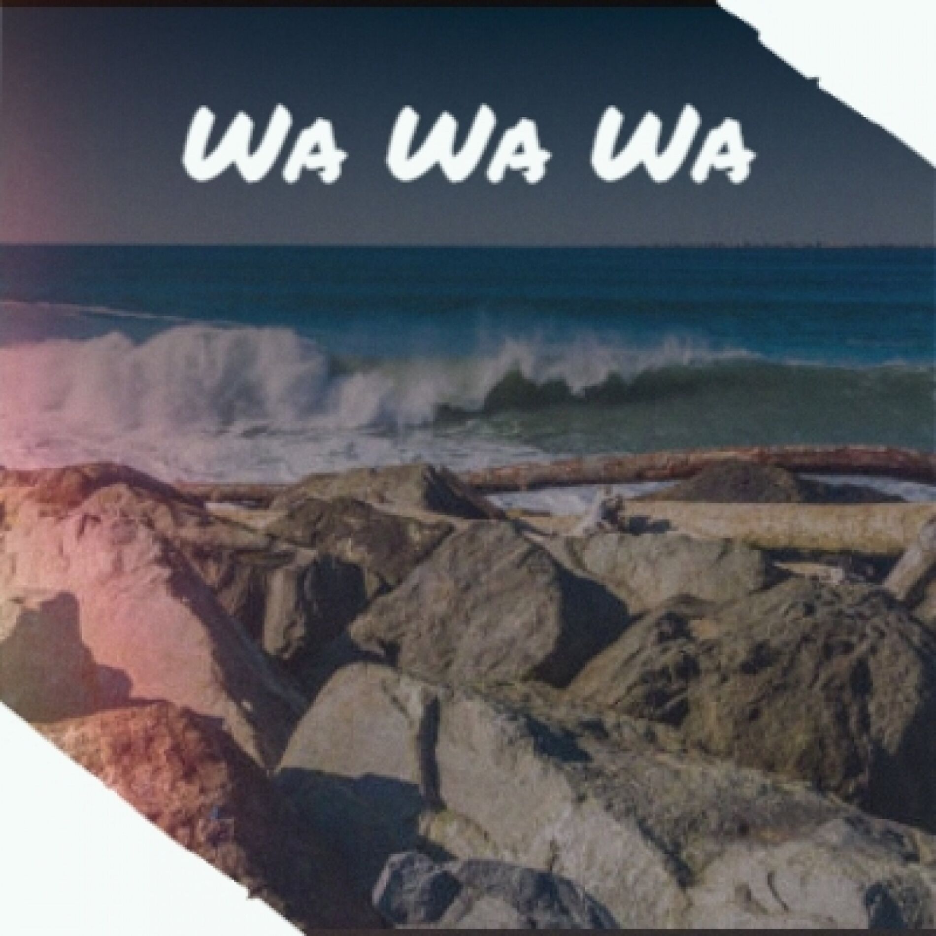 Album cover of Wa Wa Wa