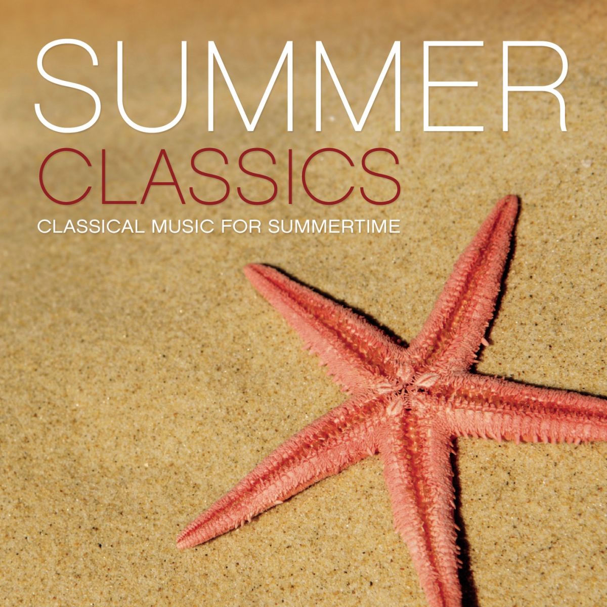 Album cover of Le Quattro Stagioni: Violin Concerto No. 2 in G Minor, RV 315, 
