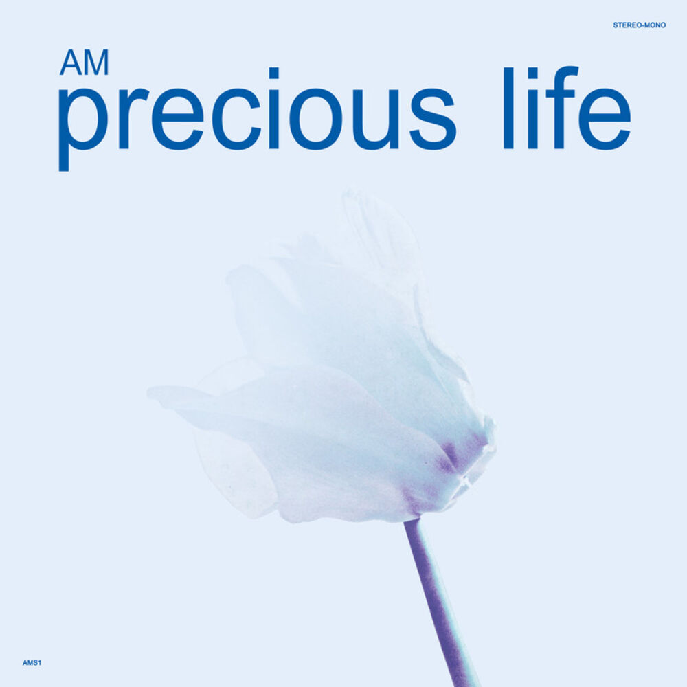 Picture of Precious Life