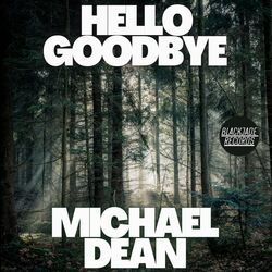 Cover of Hello Goodbye