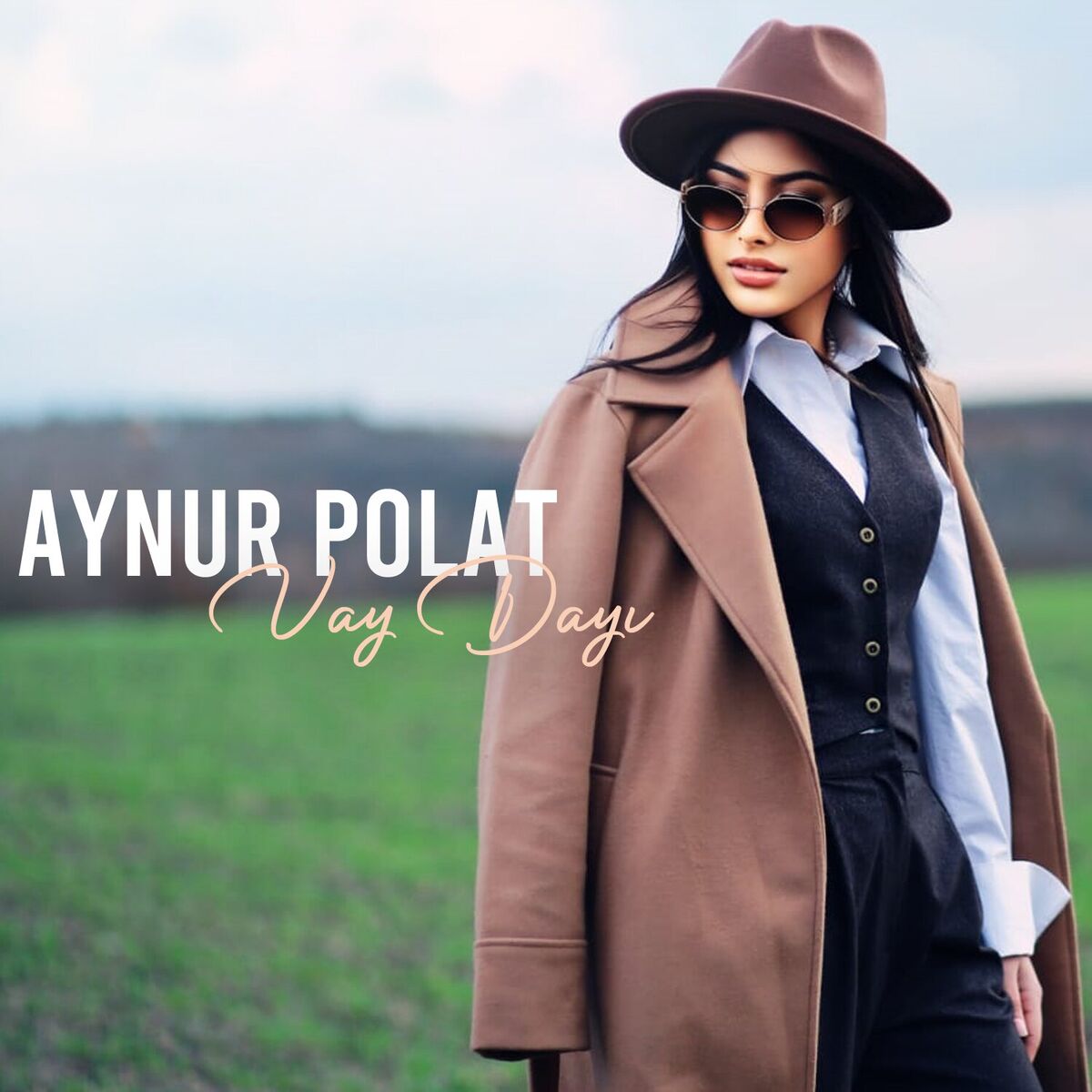 Album cover of Vay Dayı