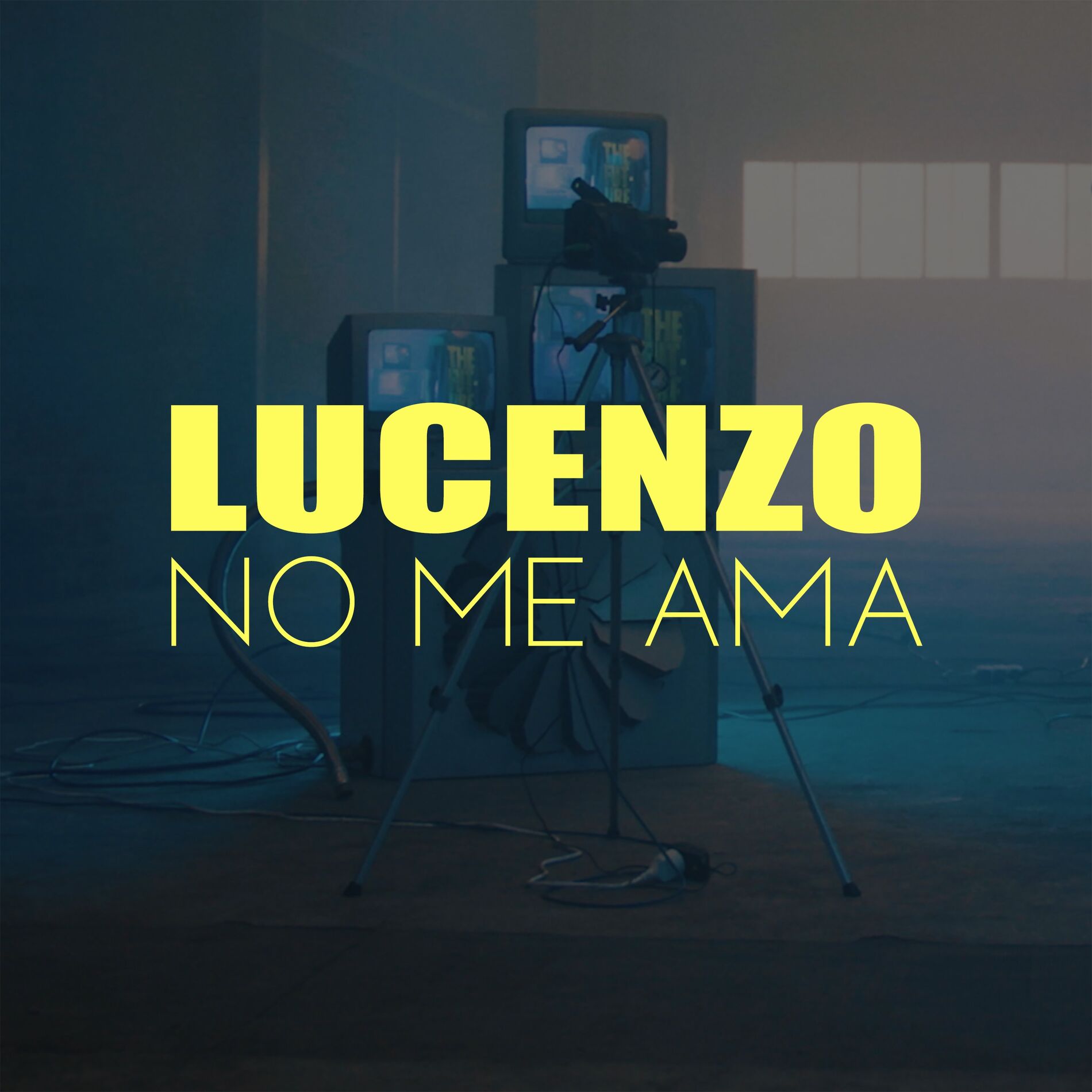 Album cover of No me ama
