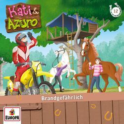 Cover of 12/Brandgefährlich