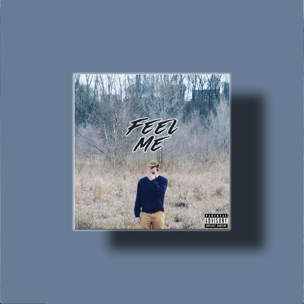 Picture of Feel Me