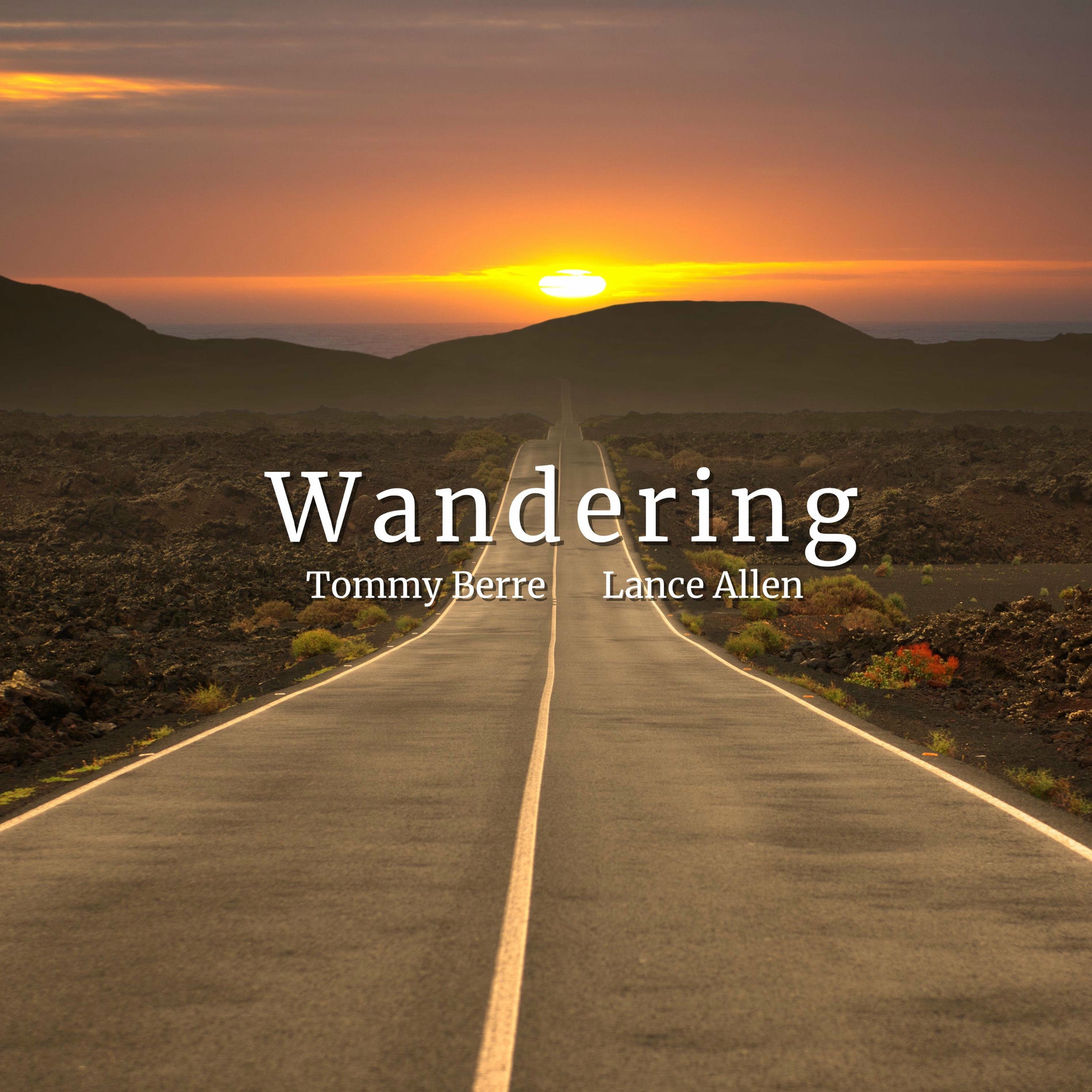 Album cover of Wandering