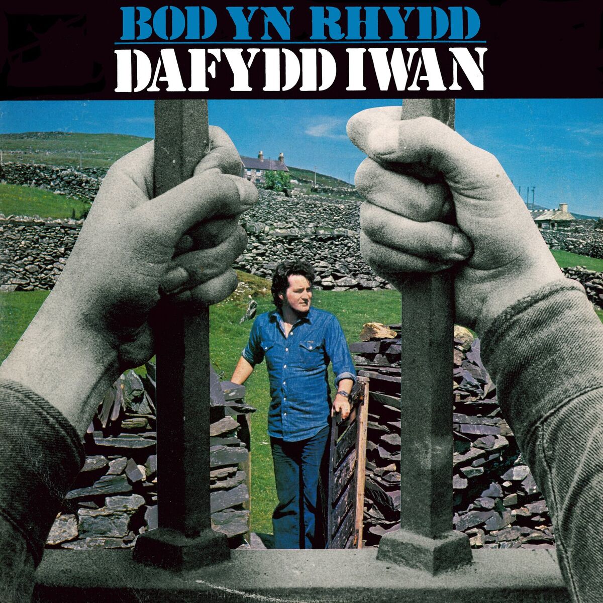 Album cover of Bod Yn Rhydd