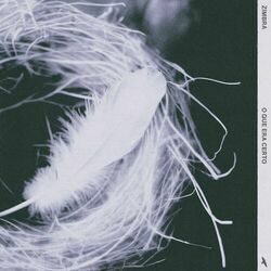 Cover of O Que Era Certo