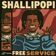 Free Service by Shallipopi album cover