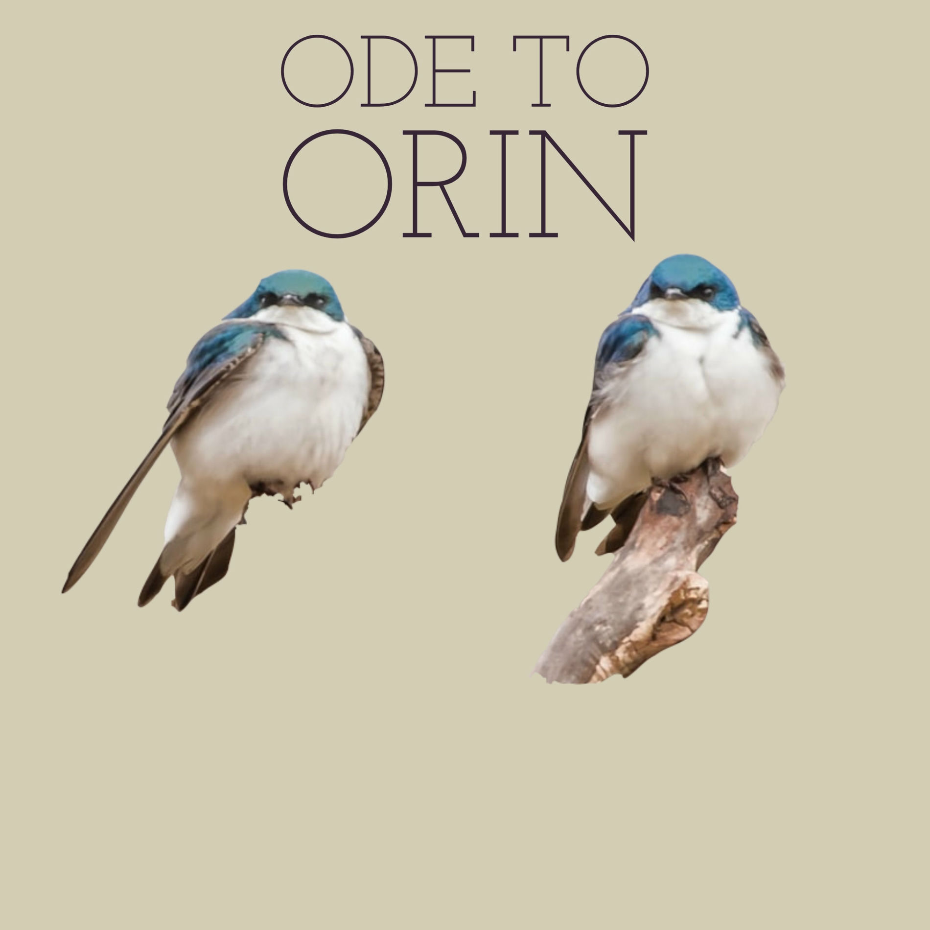 Album cover of Ode To Orin