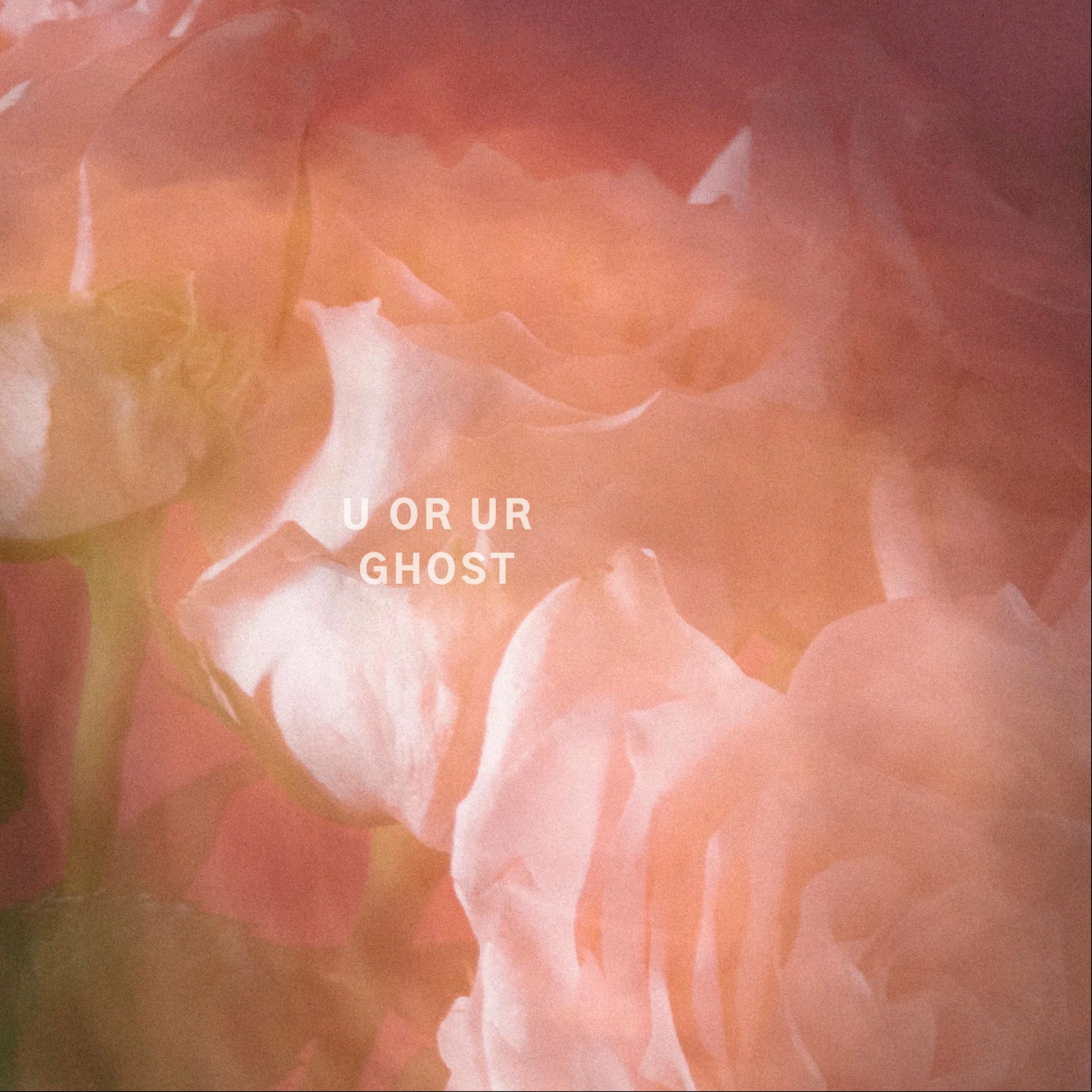 Album cover of u or ur ghost