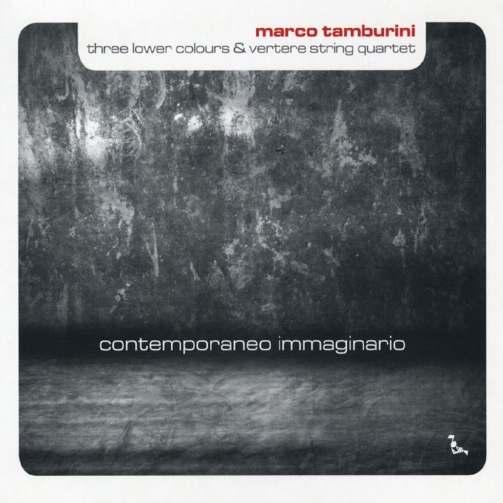 Picture of Contemporaneo immaginario