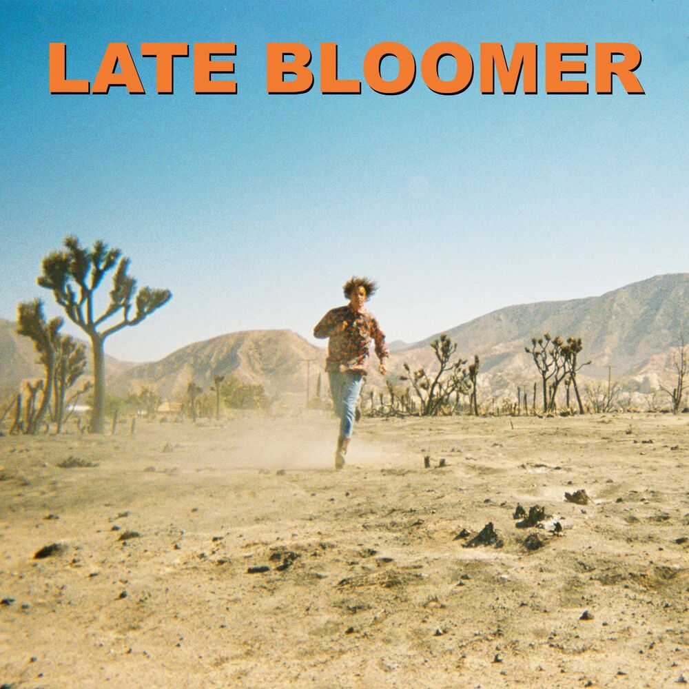 Picture of Late Bloomer