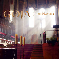 Cover of Jede Nacht