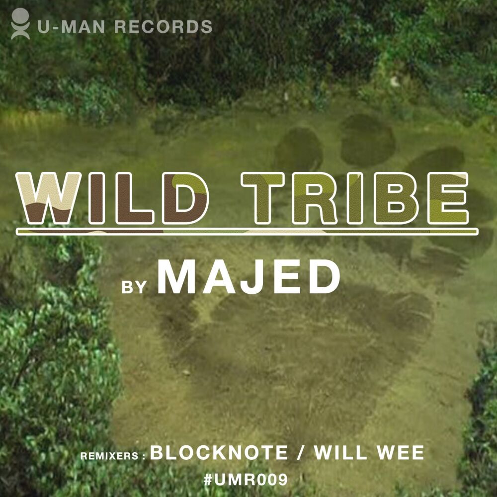 Picture of Wild Tribe