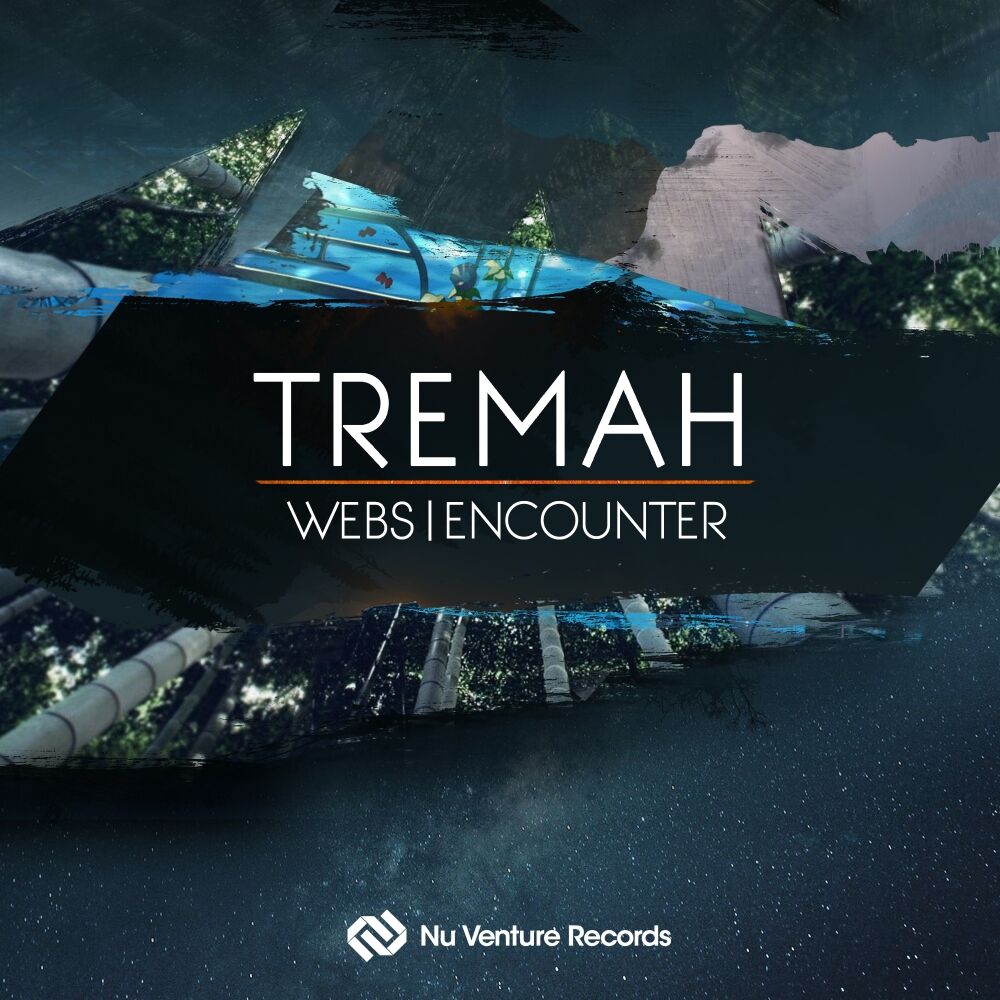 Picture of Webs / Encounter