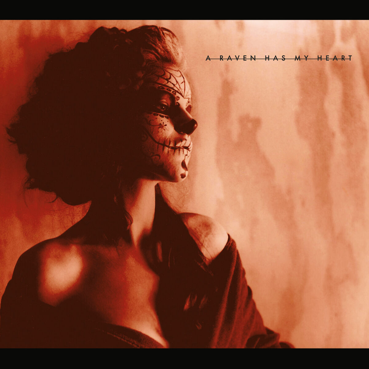Album cover of A Raven Has My Heart