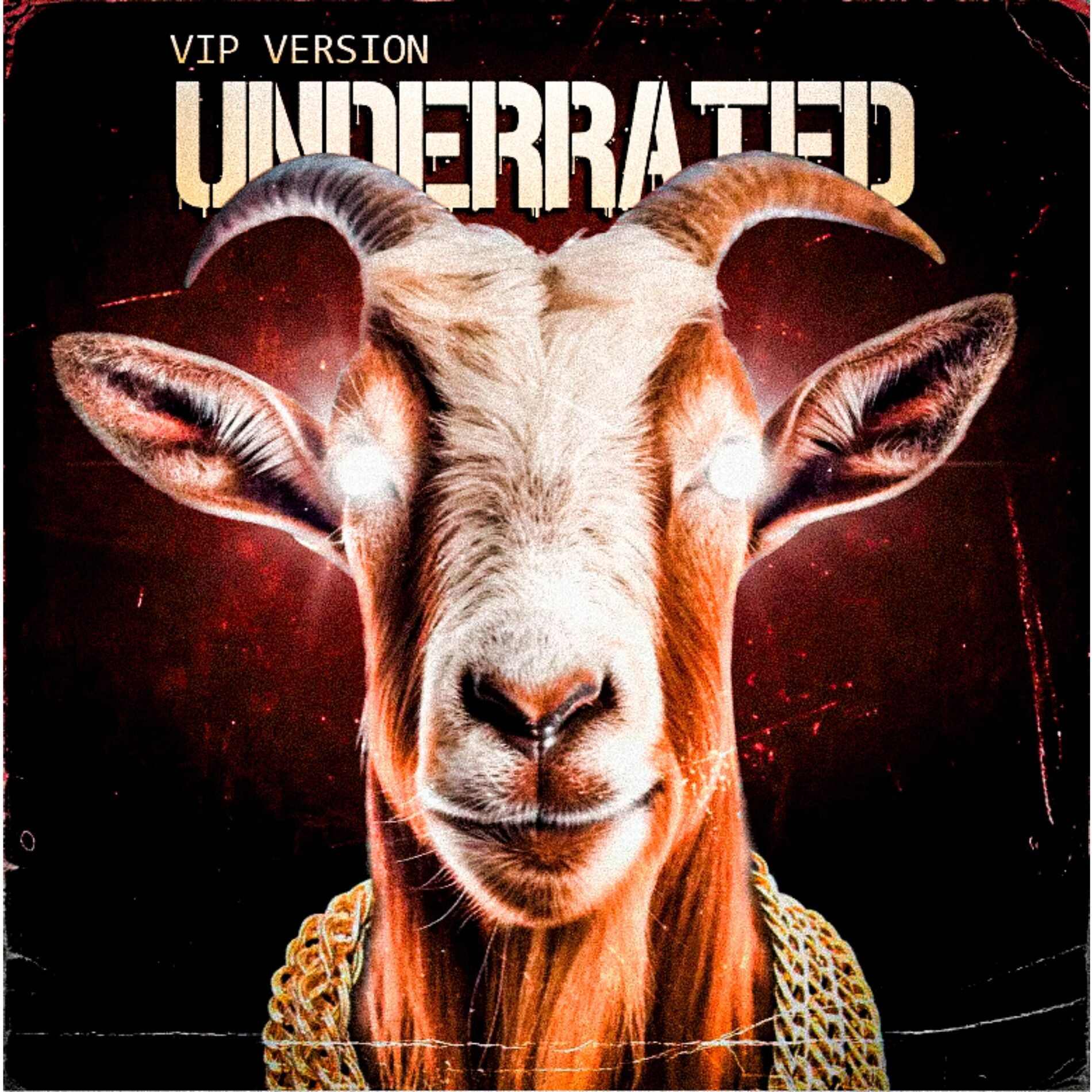 Album cover of #UNDERRATED (VIP Version) (DIRT!BOYZ´s Remix)