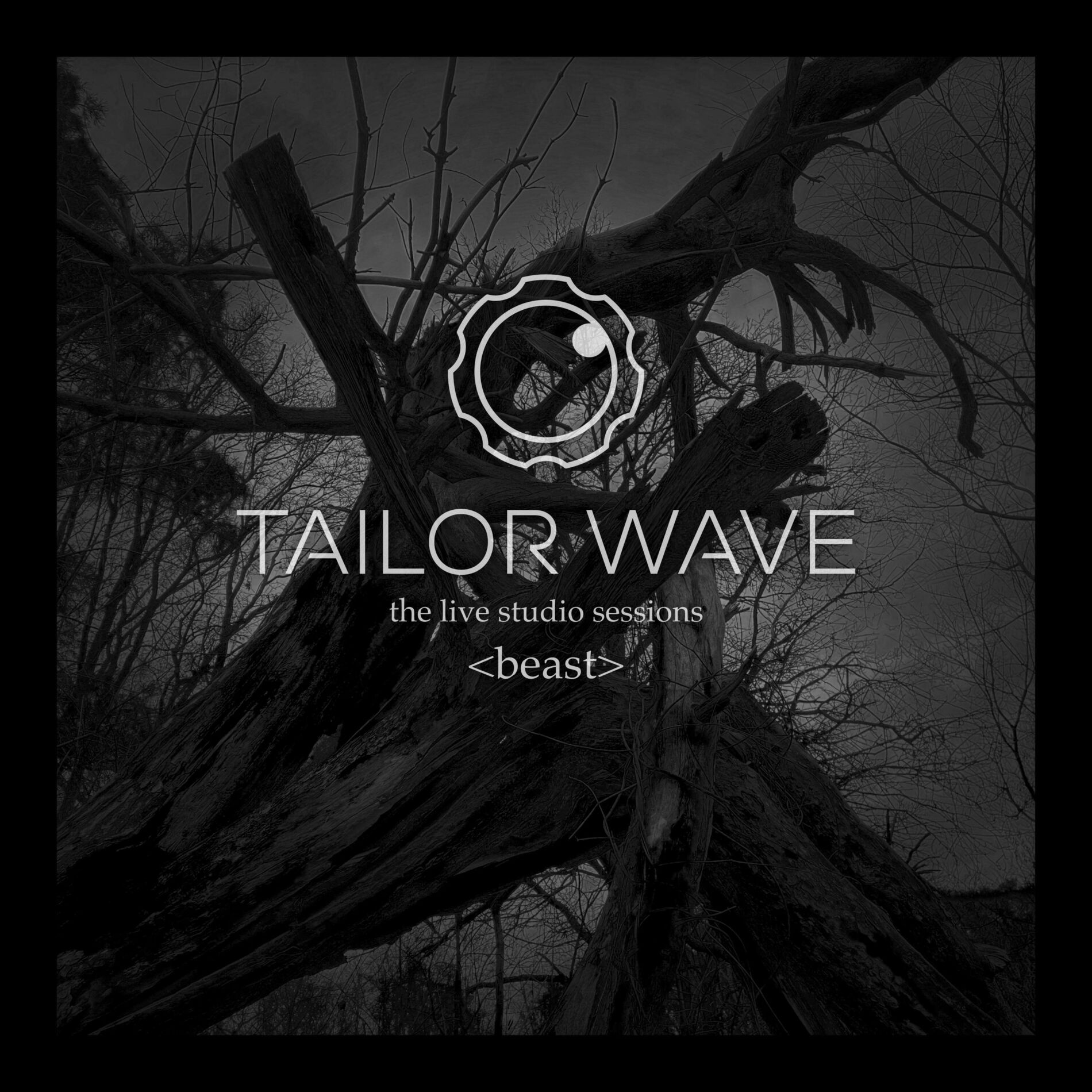 Album cover of Beast