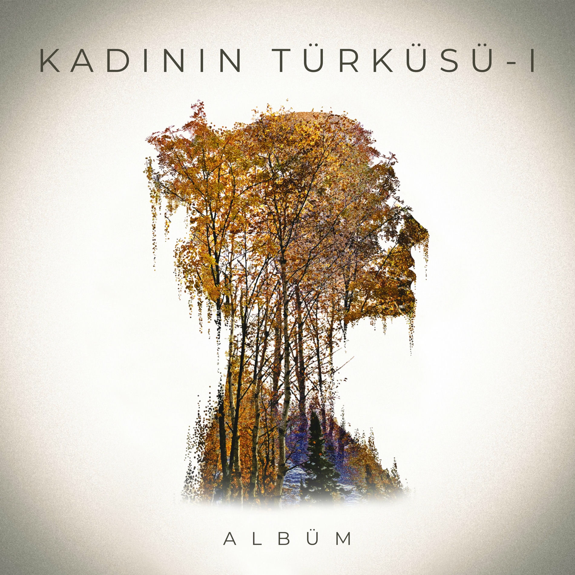 Album cover of Kadının Türküsü I