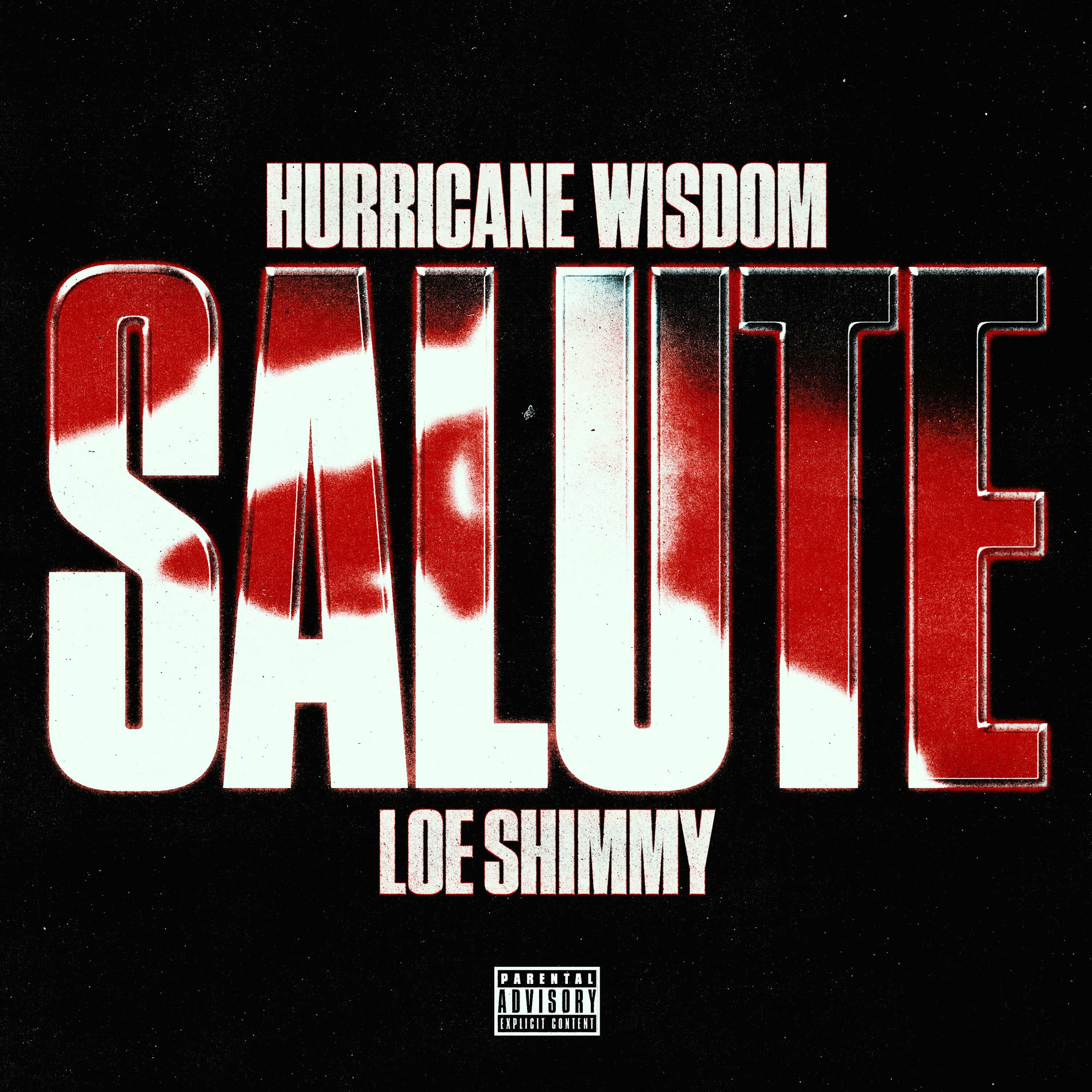 Album cover of Salute