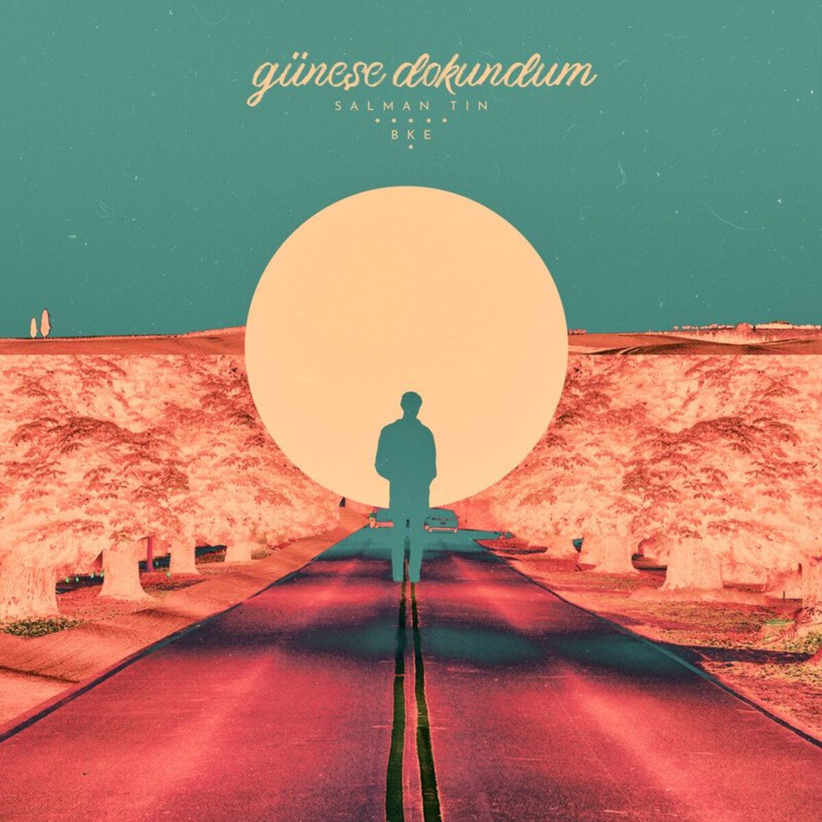 Album cover of Güneşe Dokundum