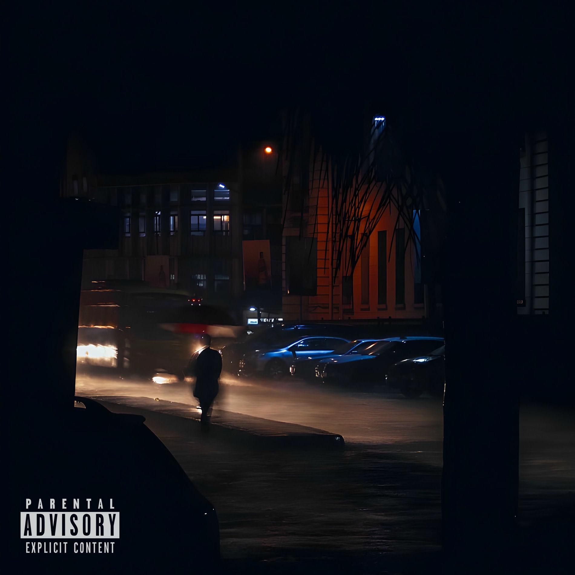 Album cover of Street Rules