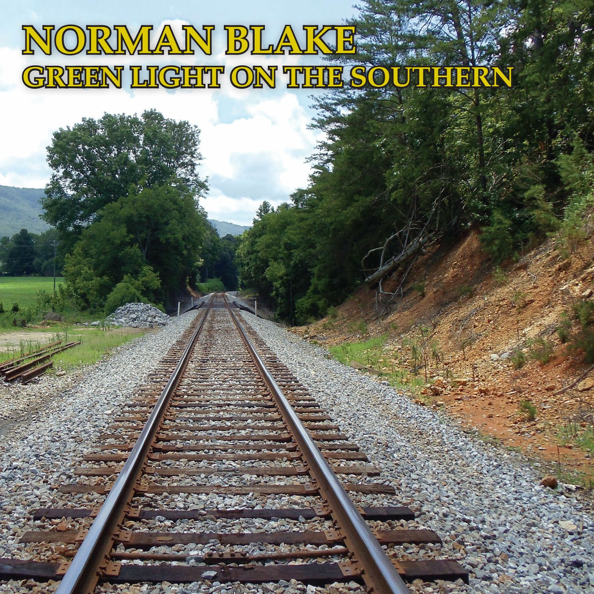 Album cover of Green Light on the Southern