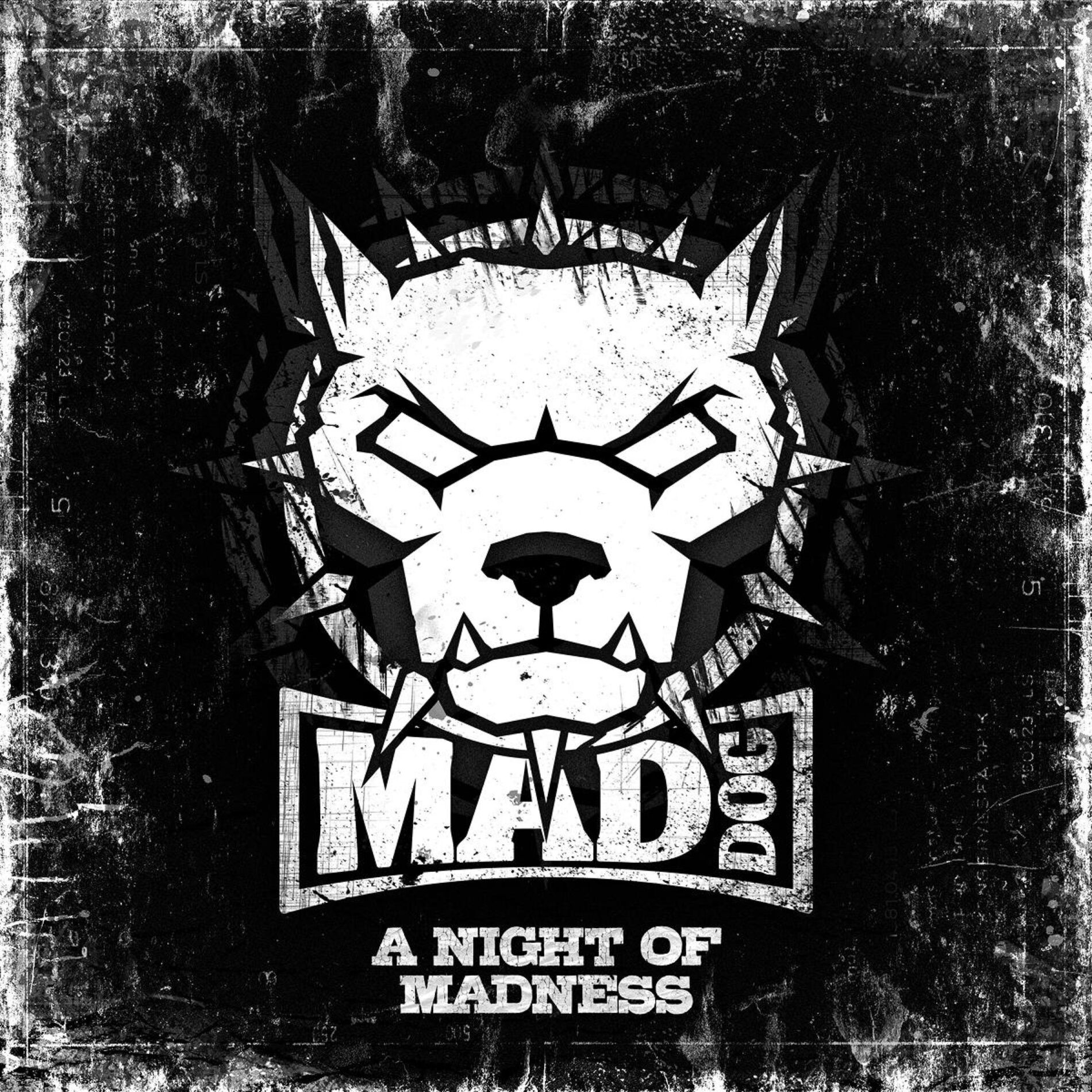 Album cover of A Night Of Madness
