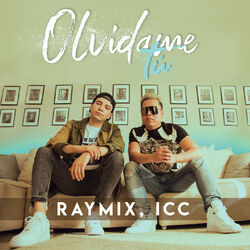 Cover of Olvídame Tú