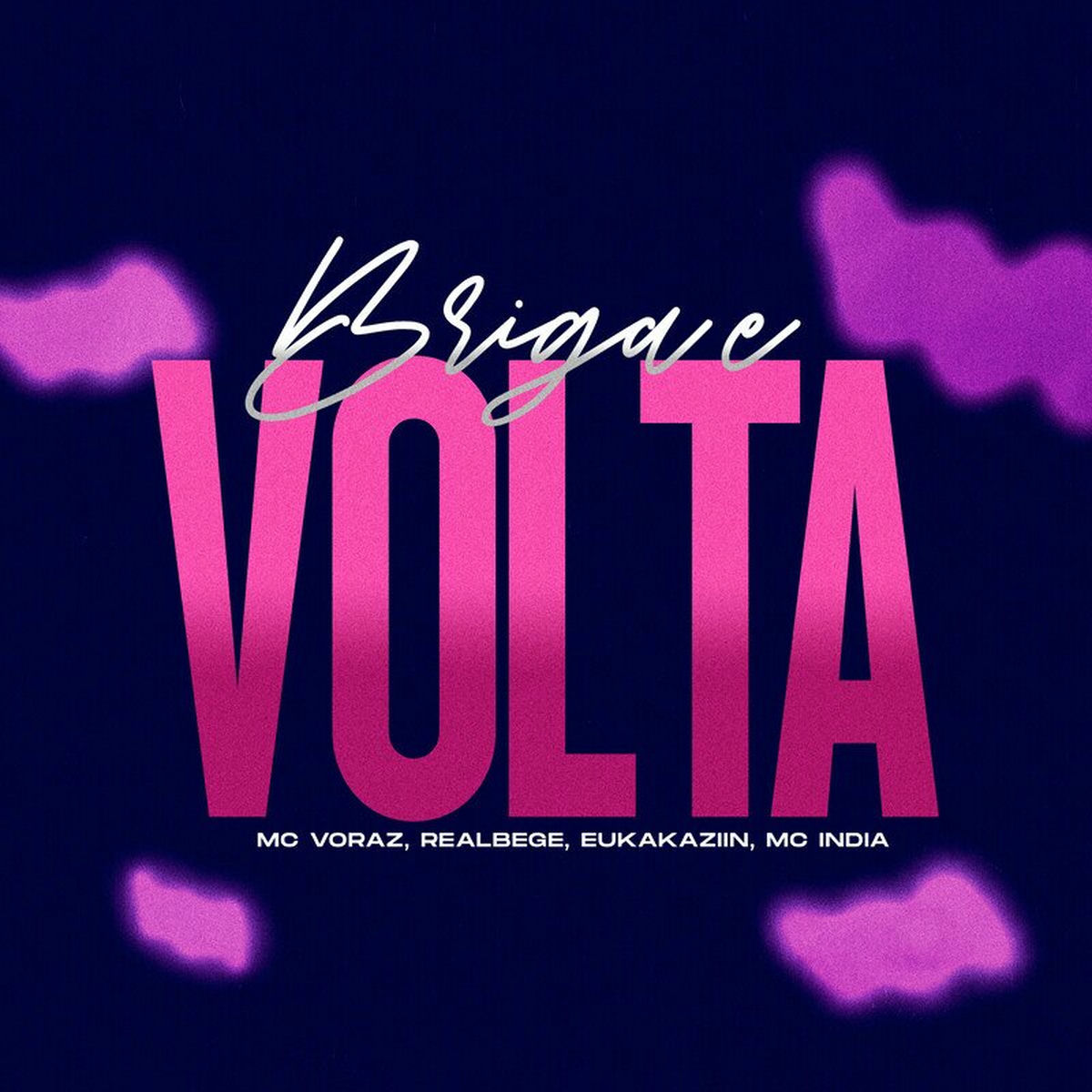 Album cover of Briga e Volta