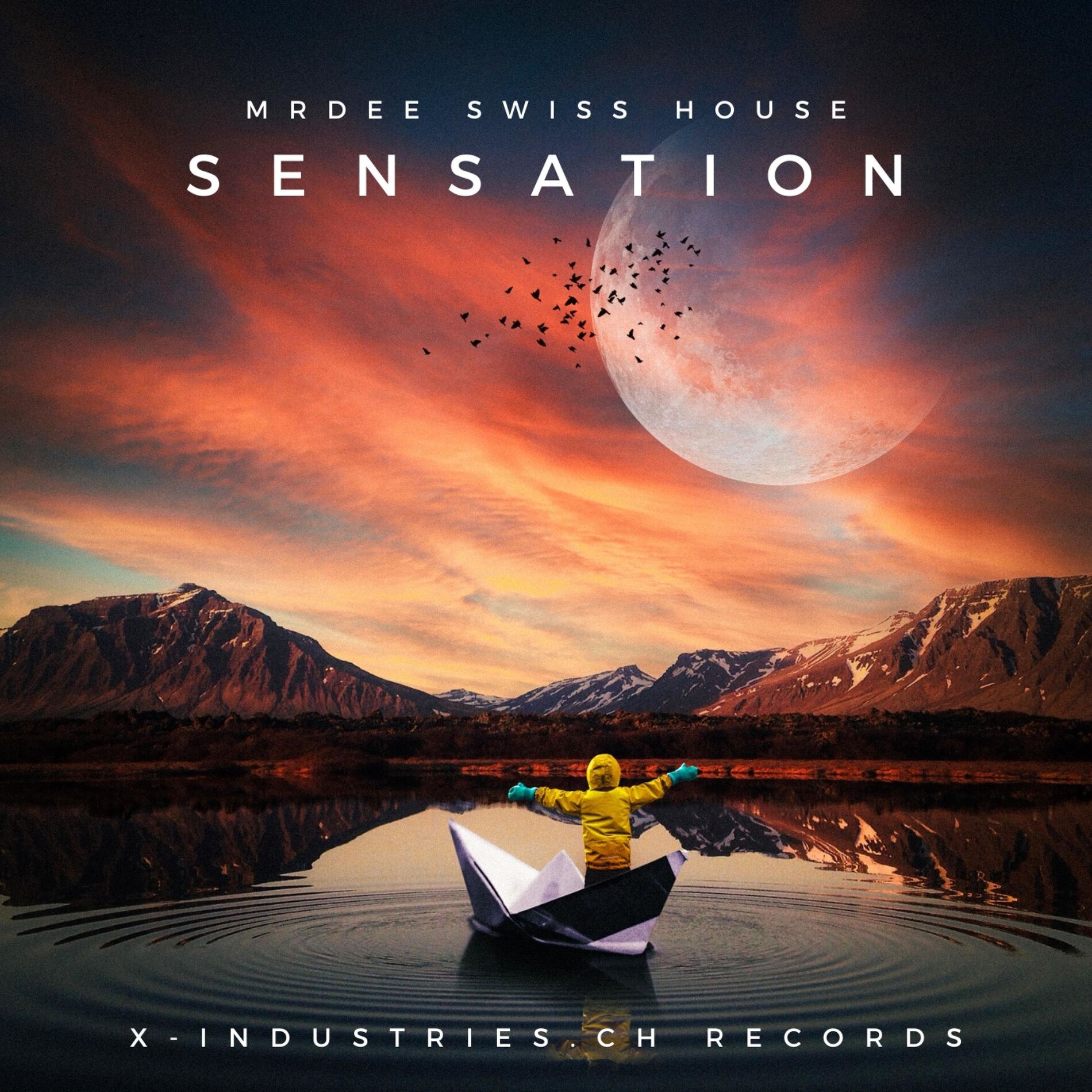 Album cover of Sensation