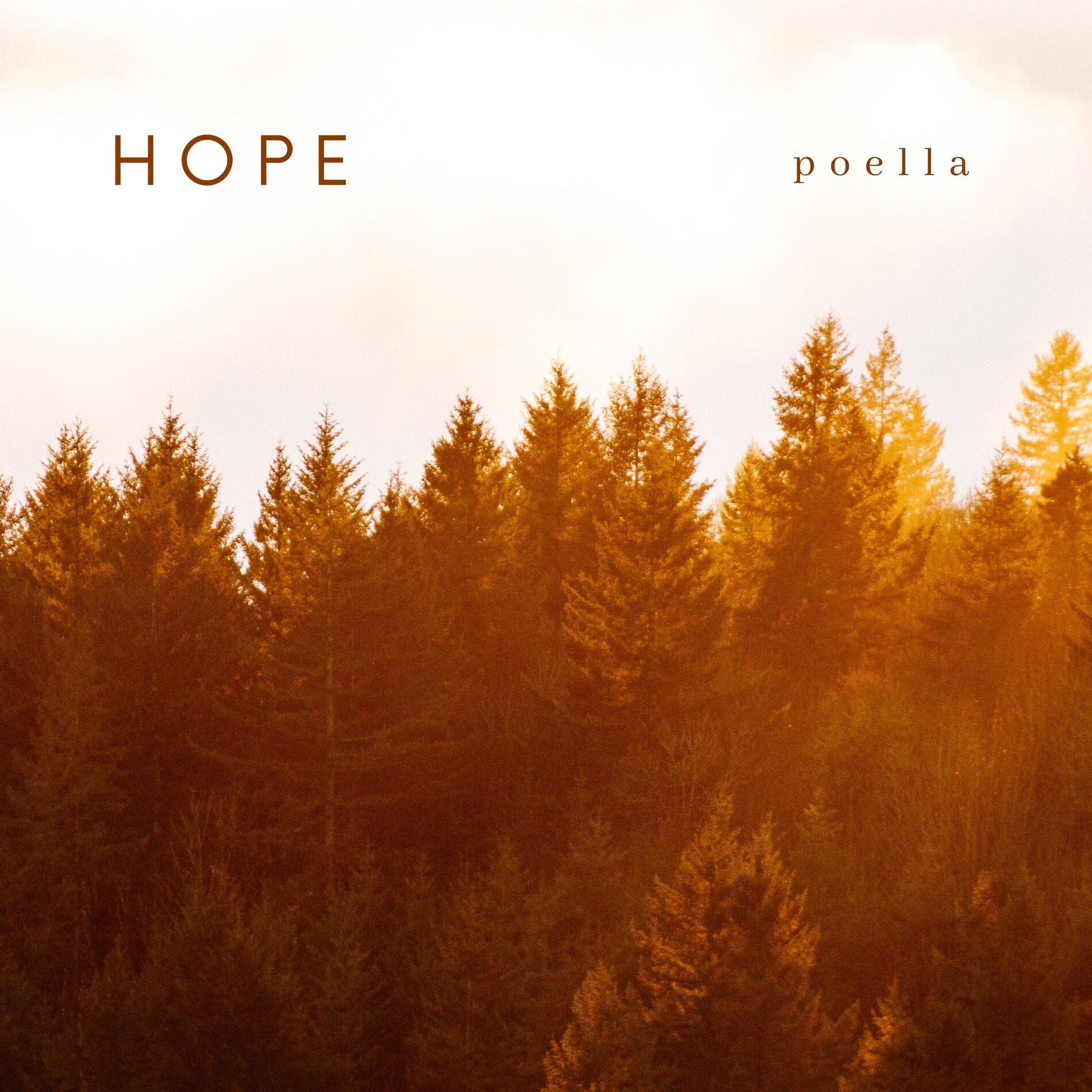 Album cover of Hope