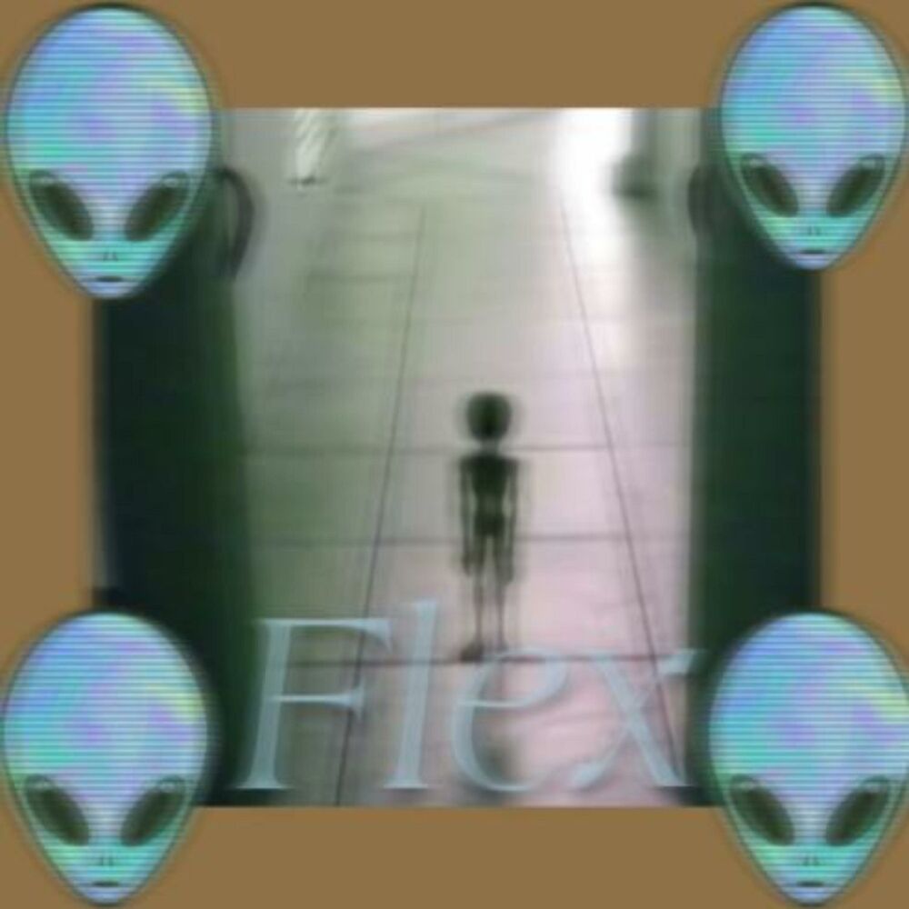 Picture of Flex