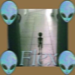 Cover of Flex