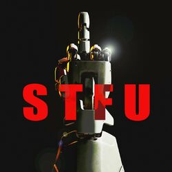 Cover of STFU