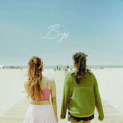 Cover of Bags