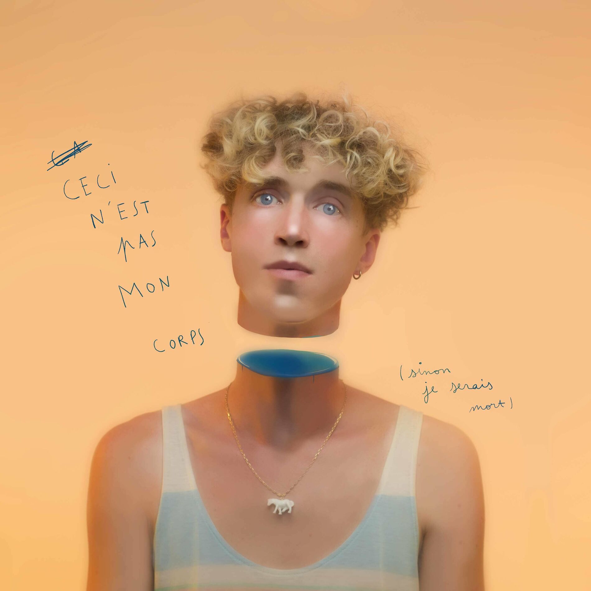 Album cover of Ceci n'est pas mon corps