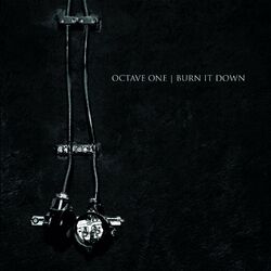 Cover of Burn It Down