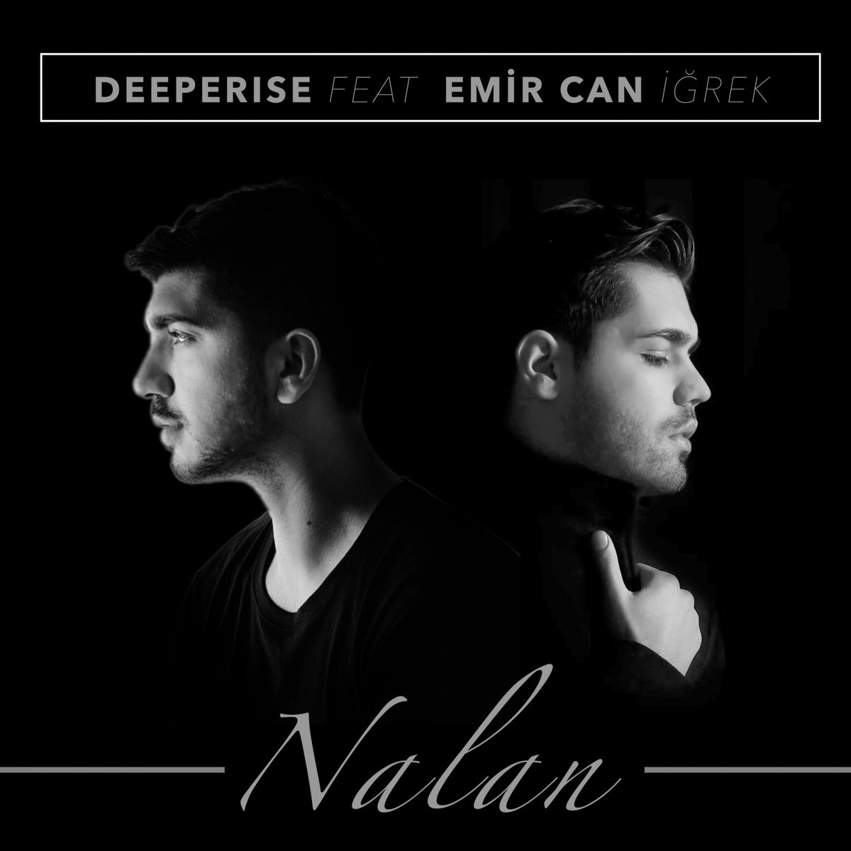 Album cover of Nalan