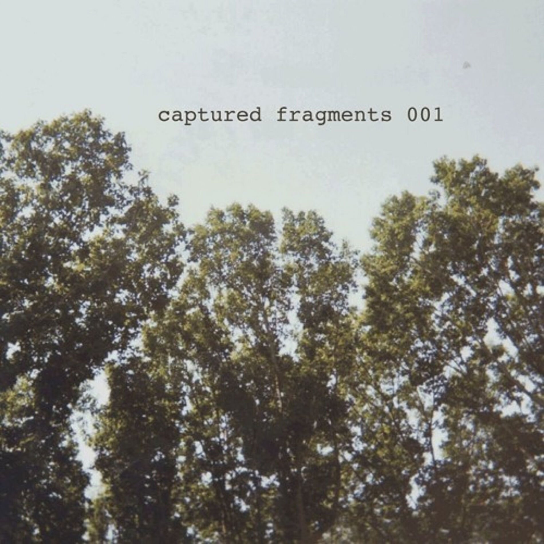 Album cover of Captured Fragments 001: LTS