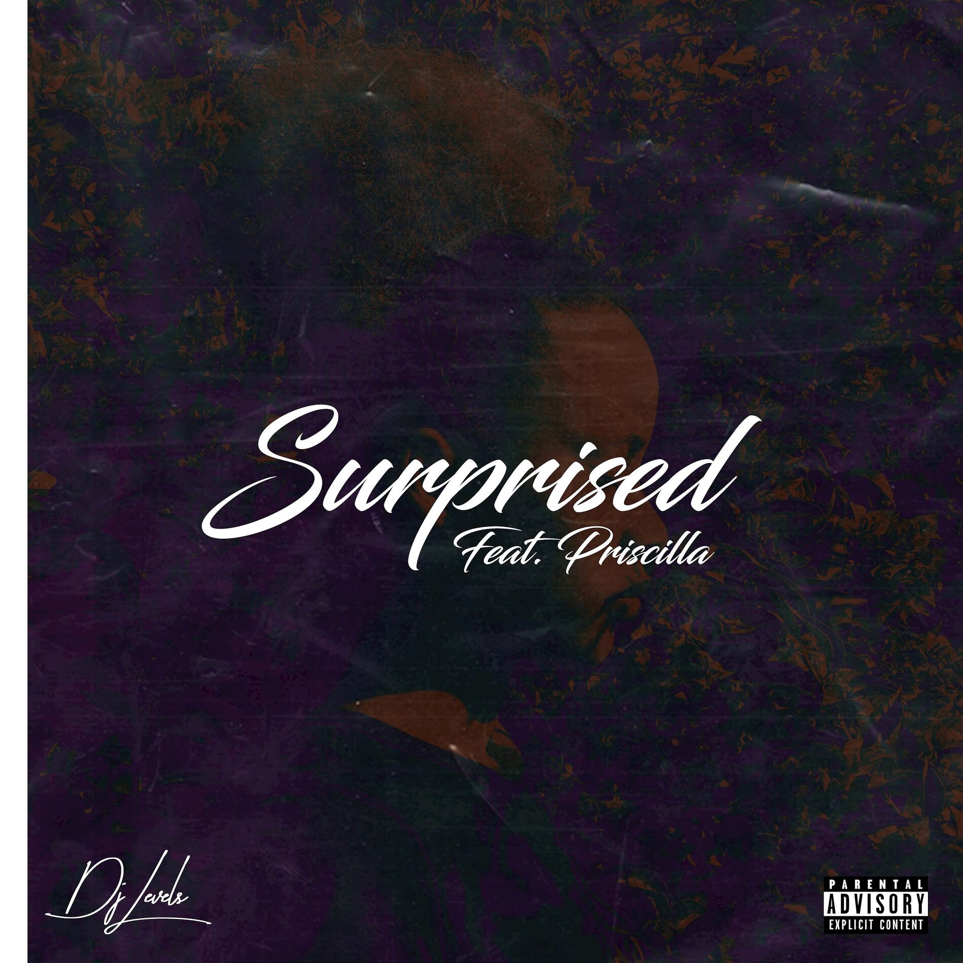 Album cover of Surprised