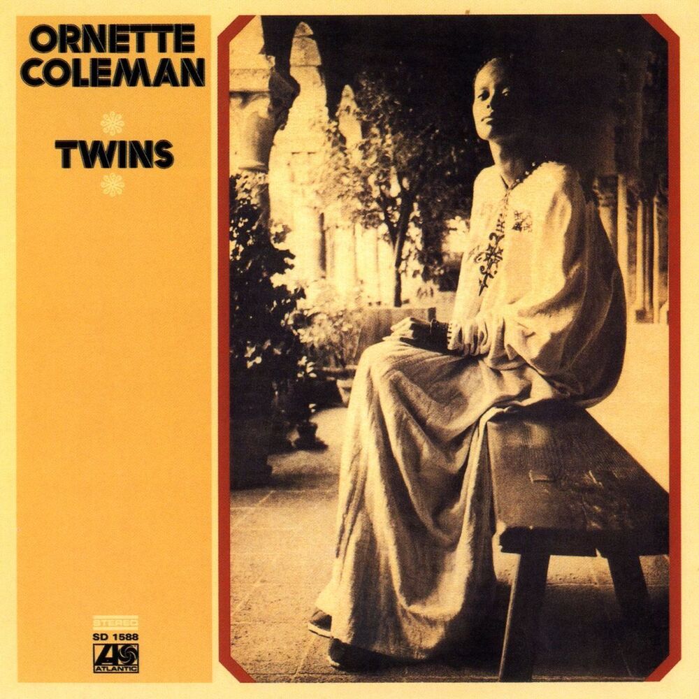 Picture of Twins