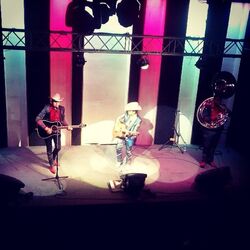 Cover of El Arbol Del Mayo (En Vivo 2013)