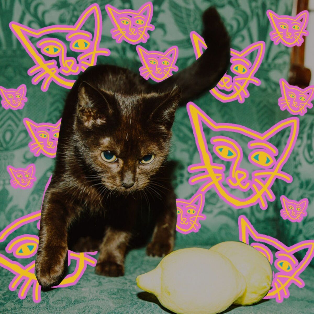 Album cover of In-To-It