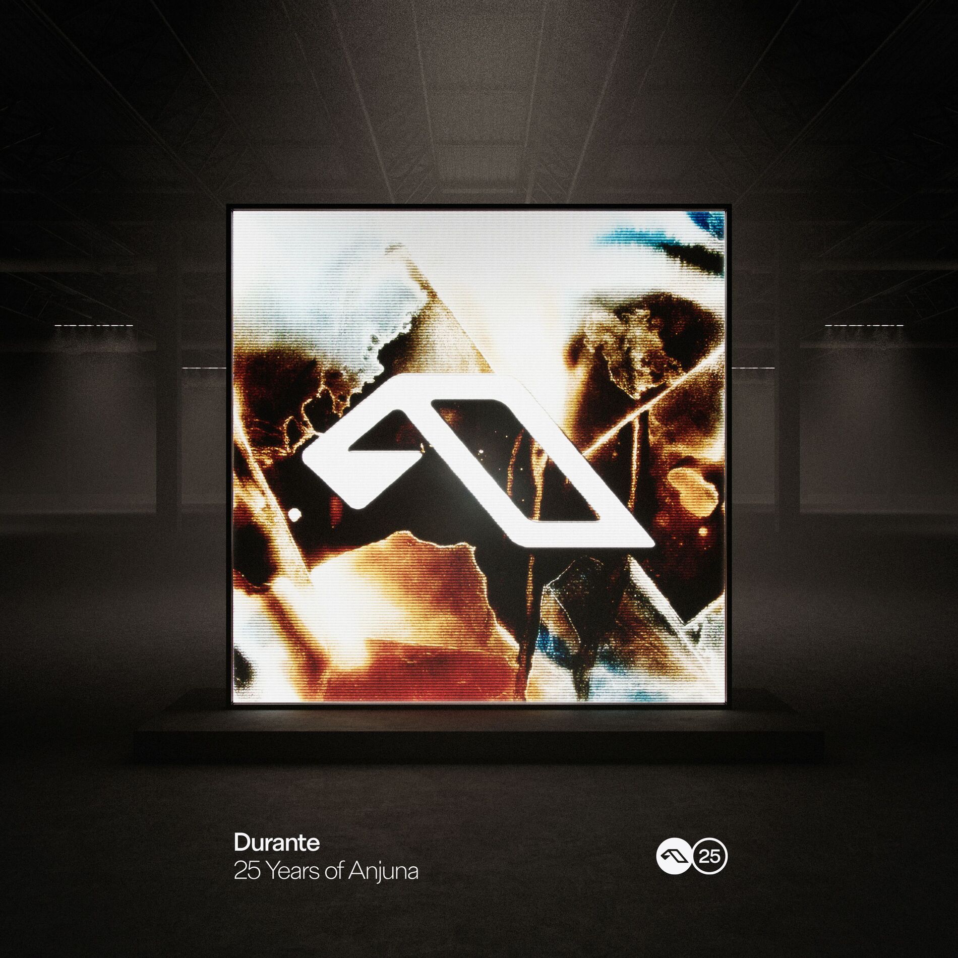 Album cover of 25 Years Of Anjuna Mixed By Durante